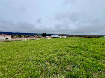 maison neuve à Bellegarde-sur-Valserine (01)