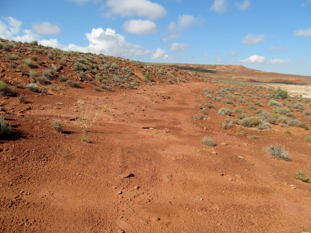 Wagon road that has seen much more recent use