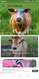 Cow Wallpaper(圖1)-速報App