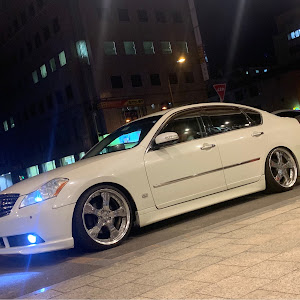 フーガ Y50型