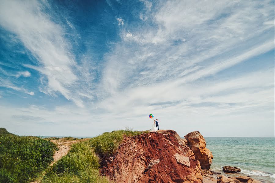 Pulmafotograaf Dmitriy Vasilenko (dmvasilenko). Foto tehtud 25 mai 2015