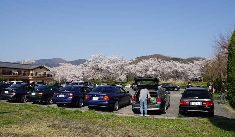 3シリーズ ツーリングの桜とコラボ🌸・オフ会に関するカスタム事例の投稿画像3枚目