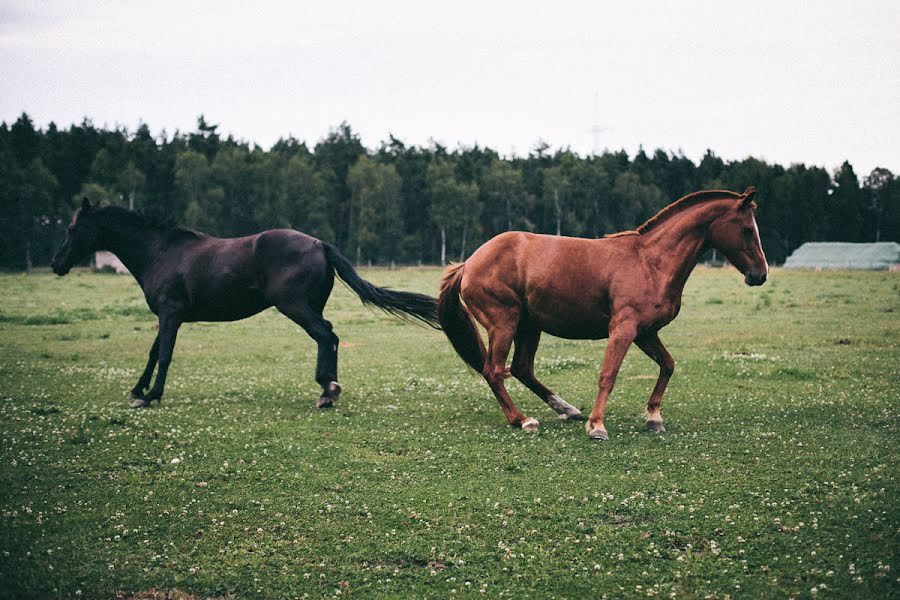 Kāzu fotogrāfs Ken Buslay (nureinmal). Fotogrāfija: 27. marts 2020