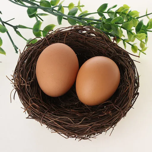 1PC Cute Vine Woven Artificial Birds Nest Straw Roost With Fake Eggs Home Decor Easter Ornament Photography Props Gift F