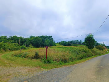 terrain à Salies-de-bearn (64)