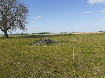 terrain à Beaufort-en-Vallée (49)