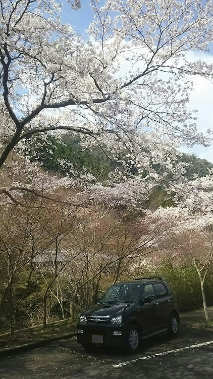 の投稿画像1枚目