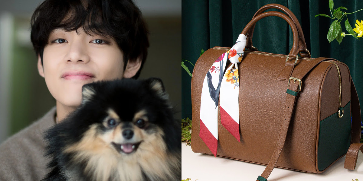 BTS's V Says His Self-Designed Bag Can Be Used As A Dog Carrier