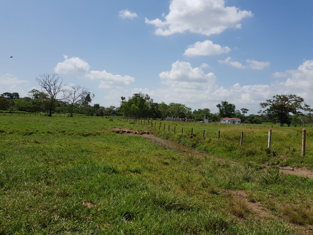 Finca En Venta - Villavicencio, Villavicencio