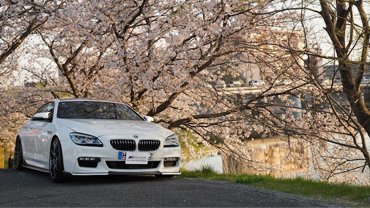 6シリーズ クーペの桜コラボ・BMW・6シリーズ・BMW F13・桜と愛車に関するカスタム事例の投稿画像1枚目