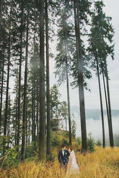 Kāzu fotogrāfs Radim Tesarcik (luminia). Fotogrāfija: 5. janvāris 2019