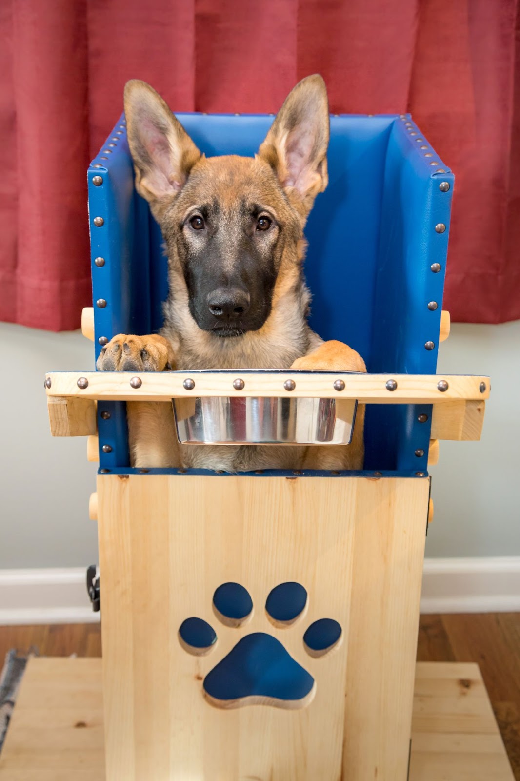 Highchair Up & Down - Mini Jake