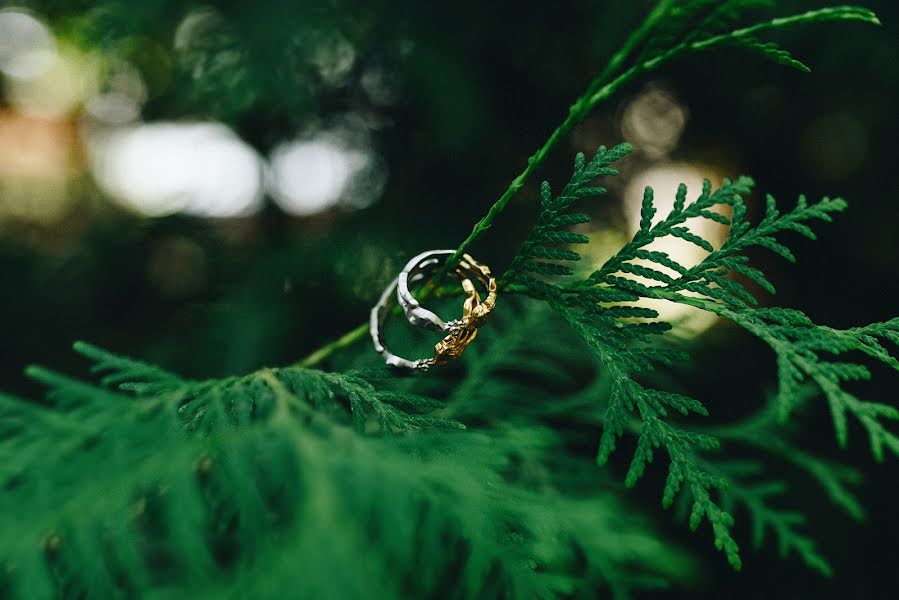 Fotógrafo de casamento Svetlana Ilicheva (svetlana87). Foto de 27 de junho 2021