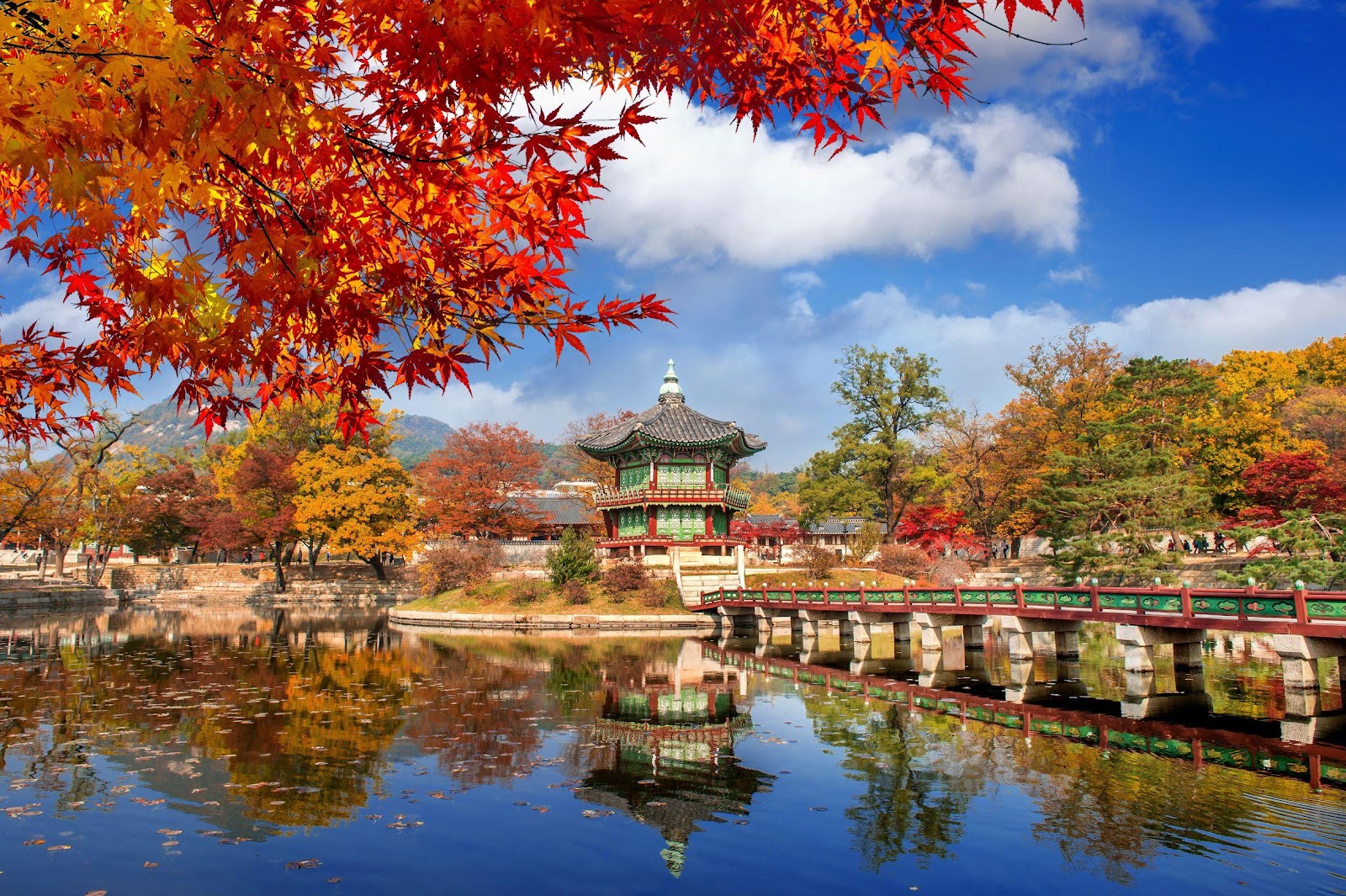 秋天是賞紅葉、銀杏的季節，10月中至尾可以走一趟短途旅行地點韓國。