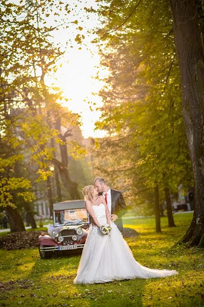 Fotógrafo de bodas Aleksandar Stojanovic (stalexphotograp). Foto del 10 de junio 2015