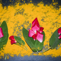 Fiori nel deserto di 