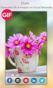 Flowers Gif Collection(圖6)-速報App