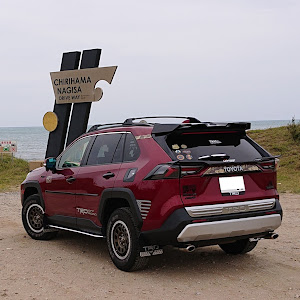 RAV4 MXAA54