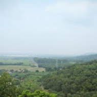 雲林摩爾花園餐廳