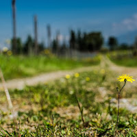 Sulla mia strada... di 