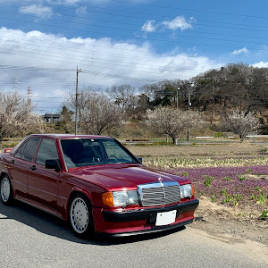 190シリーズ W201