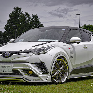 C-HR ZYX10