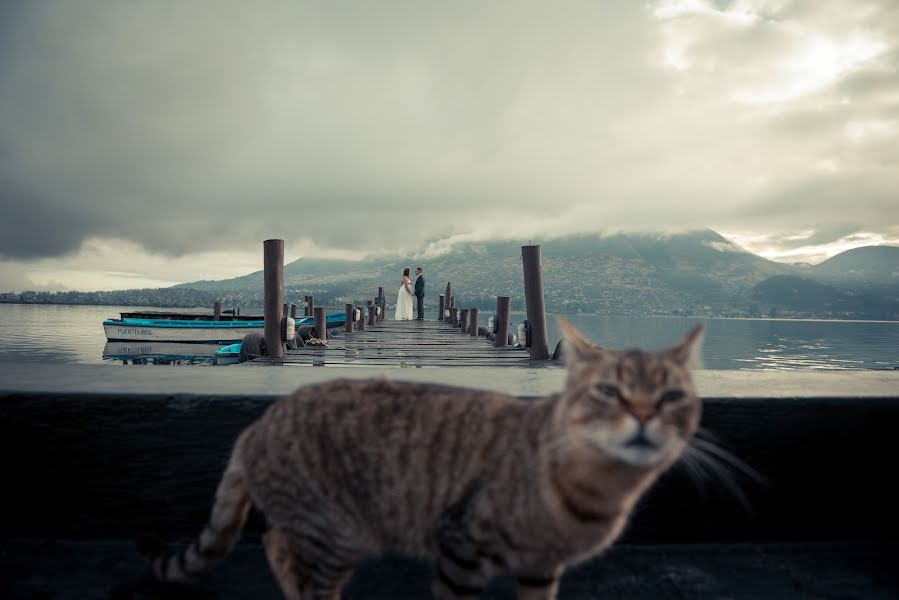 Bryllupsfotograf Francisco Alvarado León (franciscoalvara). Foto fra oktober 20 2019