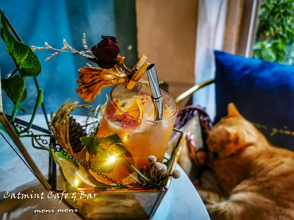 新北市永和區美食推薦catmint Cafe Bar 貓草餐酒館 中永和餐酒館 Catmint Cafe Bar貓草餐酒館 橘貓 有個性 創意 調酒比賽的一家調酒吧 有壽星招待 原味覺醒moni Moni 愛食記最好用的美食app