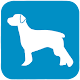 Download Bahamas Pet Owners For PC Windows and Mac 1.0