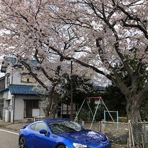 BRZ ZC6