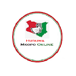 Cover Image of ดาวน์โหลด Huduma Mkopo Online 1.22.v2 APK