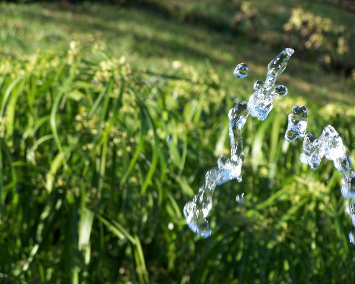 Una goccia, l'acqua...la vita! di nuvola