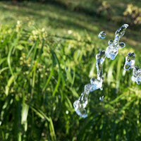 Una goccia, l'acqua...la vita! di 