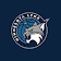 Minnesota Lynx icon