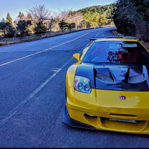 NSX NA1