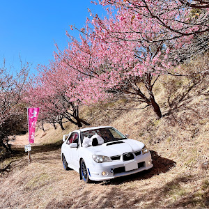 インプレッサ WRX GDA