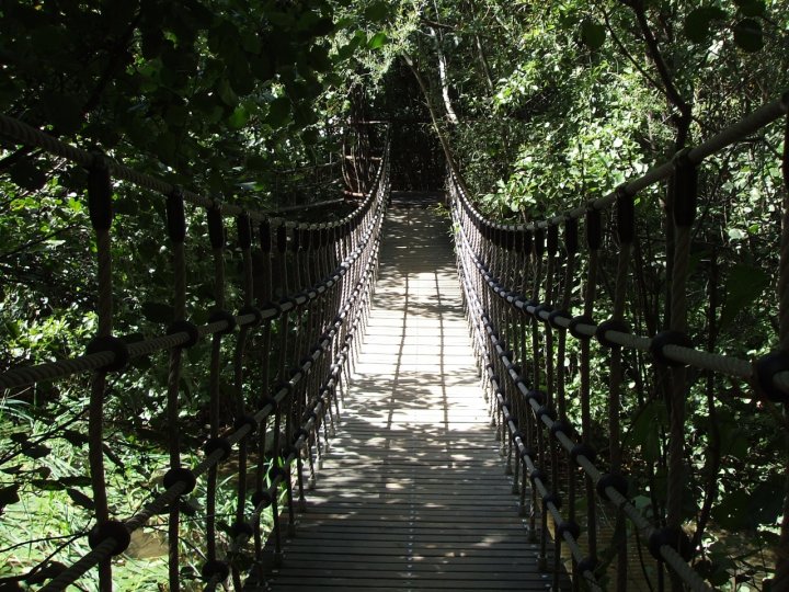 ponte di corde di umberto750