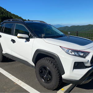 RAV4 MXAA54