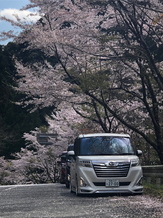 トールカスタムの桜・桜と愛車・コロナウイルスに負けるなに関するカスタム事例の投稿画像3枚目