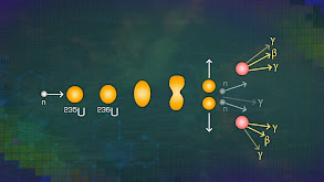 Splitting the Nucleus thumbnail