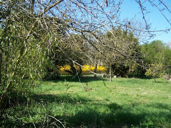 maison neuve à Royan (17)