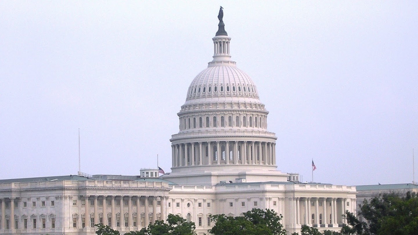 The Presidential Election: Congress Counts the Vote