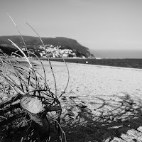 Pace in riva la mare di 