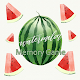 Download Memory Watermelon IC005 For PC Windows and Mac 1.0