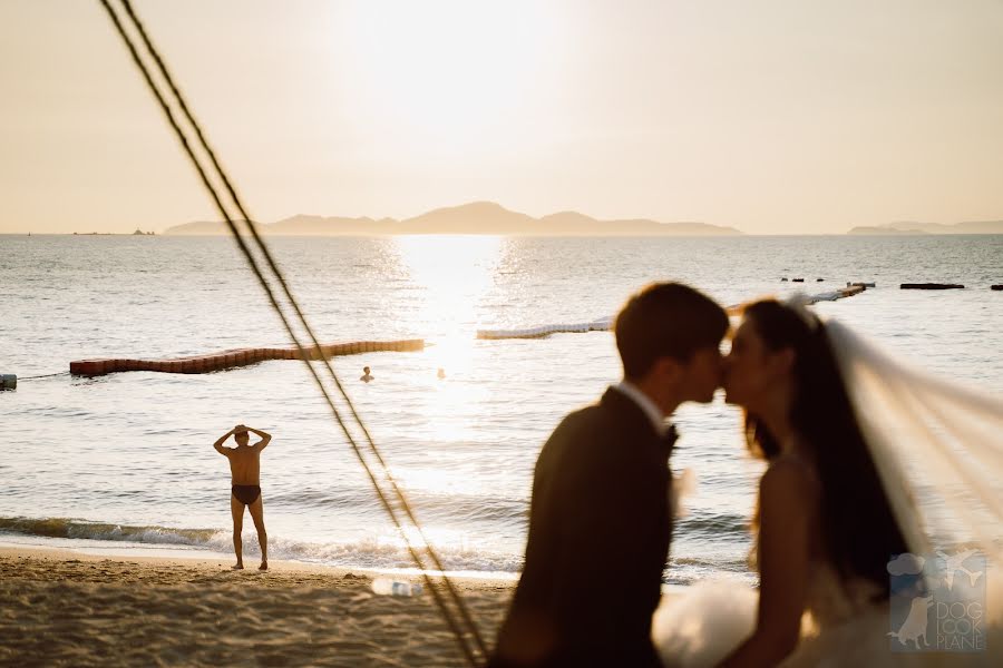 Fotógrafo de casamento Nattapol Jaroonsak (doglookplane). Foto de 1 de outubro 2023