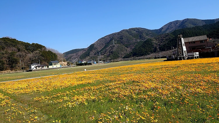 S660の左斜め前写真展・風が強く吹いています彡(-ω-；)彡ﾋｭｰﾋｭｰ・花畑コラボ・旧依田邸・Z4バイク🛵に関するカスタム事例の投稿画像21枚目