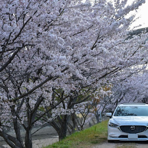 MAZDA6 GJ2FP