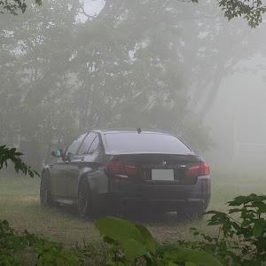 M5 FV44M