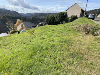 terrain à Entraygues-sur-Truyère (12)