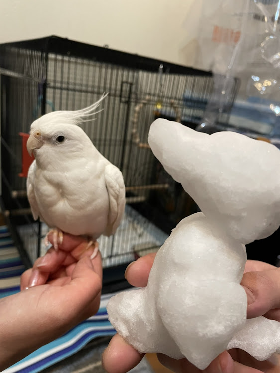 AZ-ワゴンのおはぎさん・ハンバーガーｸﾞﾘﾝｸﾞﾘﾝ・雪☃️・芋ｯｯ!!🥔・皆様へのお礼に関するカスタム事例の投稿画像6枚目